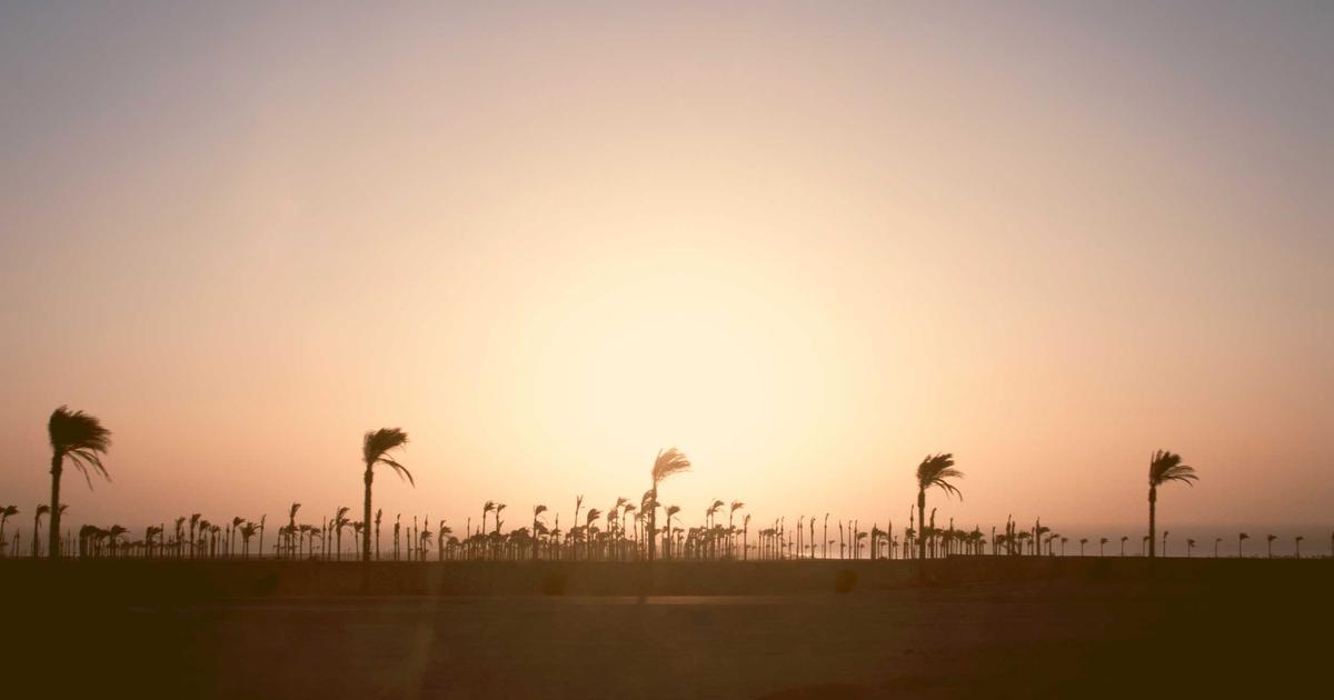 The ADK-Rust Tool Ecosystem: Empowering Your AI Agents