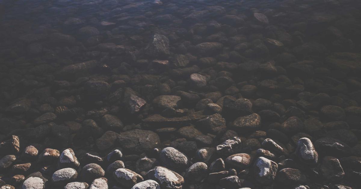 AI-Driven Full-Stack Architecture: Token Economics of Building with Rust and Next.js