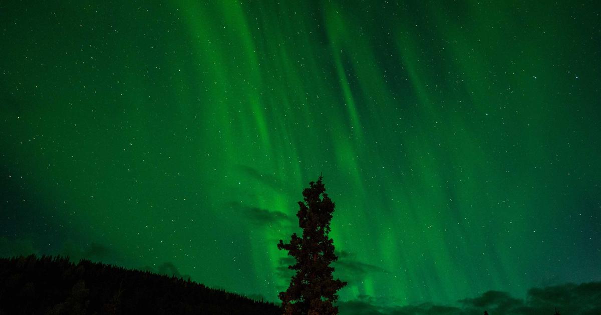 Astro + Gemini 3: Building the First Self-Updating and Self-Correcting Blog