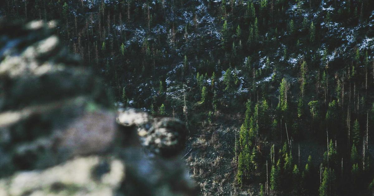 App Architecture: Clean Architecture in Flutter