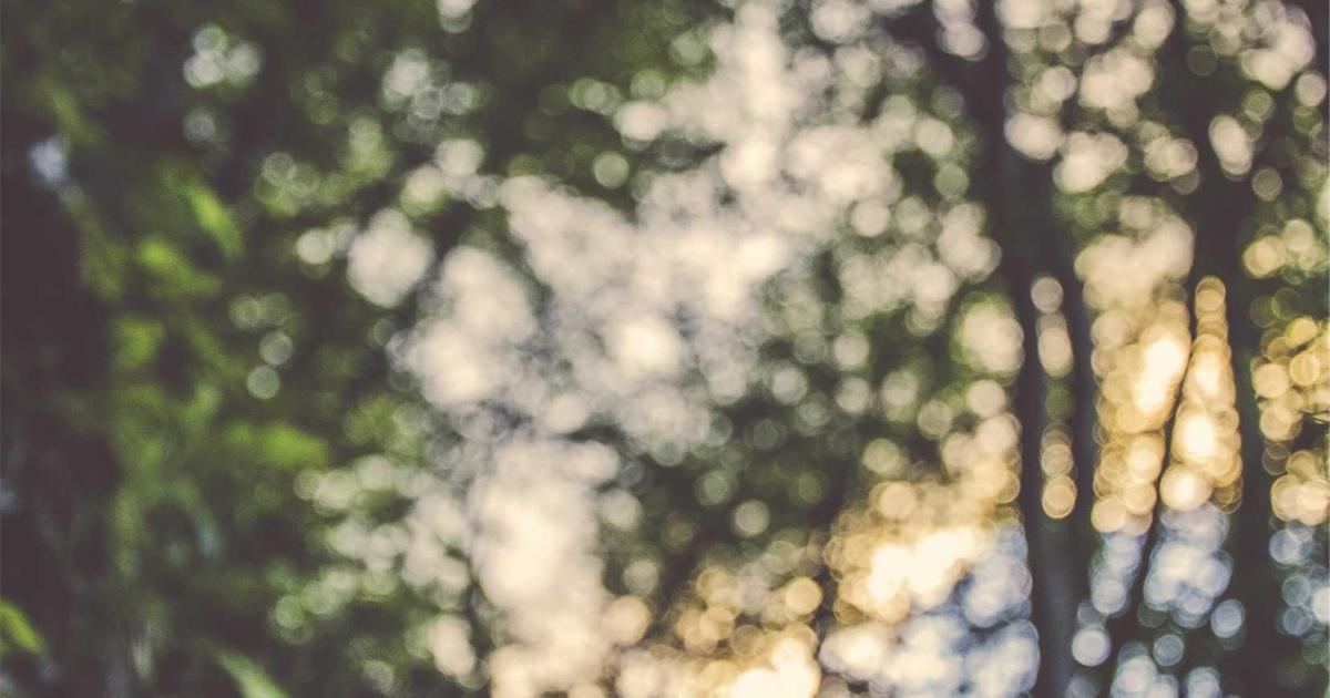 Collaborative AI Development: Git Strategies for Model and Data Versioning