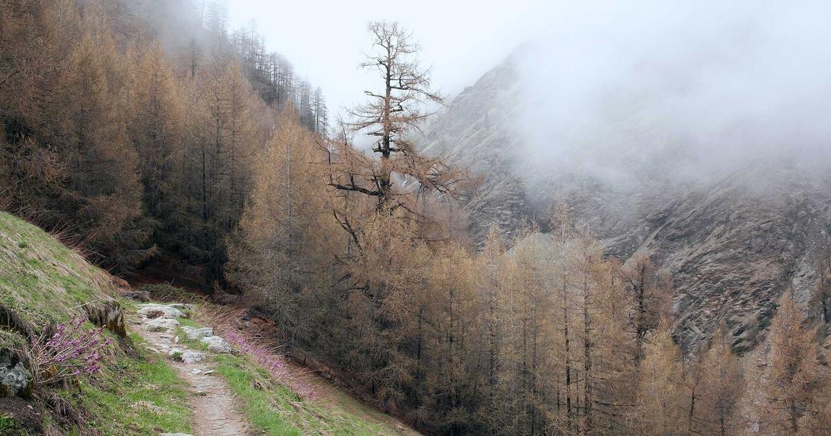 Cost Optimization in AI Development: Managing API Bills and Resource Usage