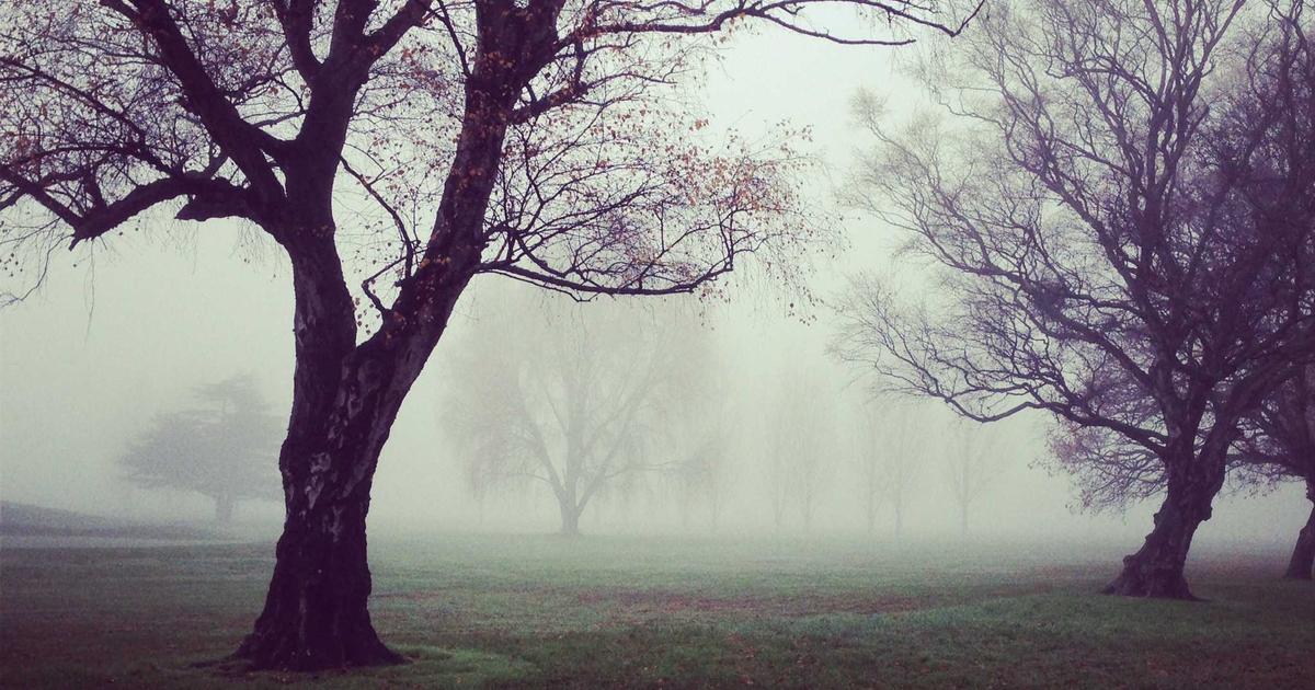 Documentation Best Practices for AI Codebases: Beyond the Docstring