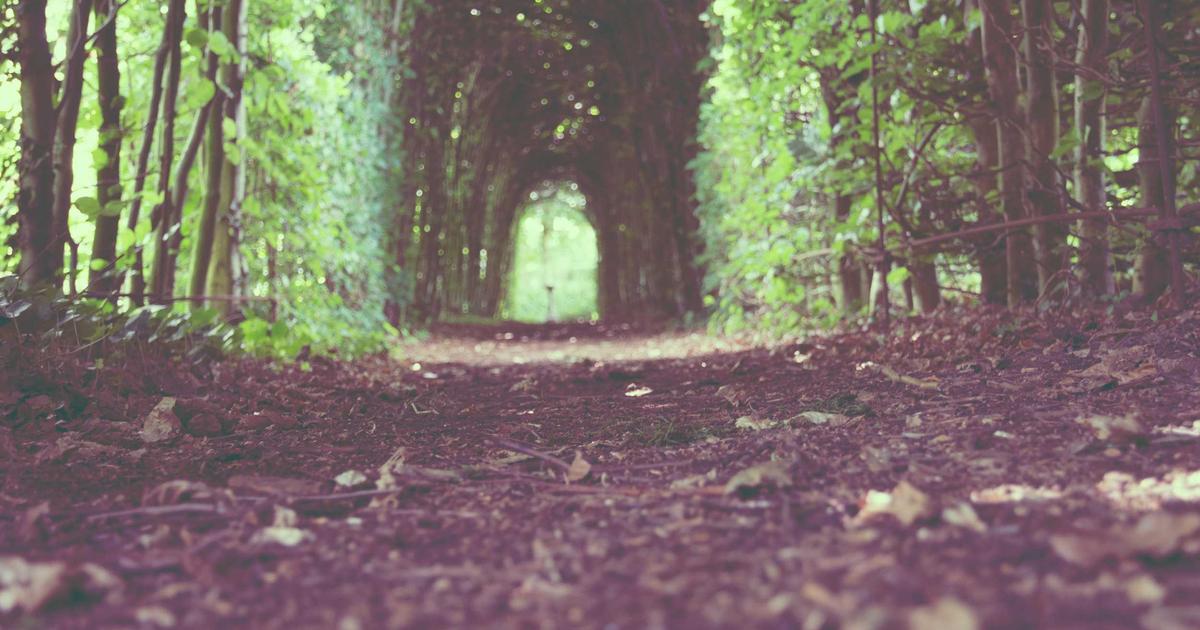 Event Sourcing Agent Decisions: Replaying Past Runs for Debugging