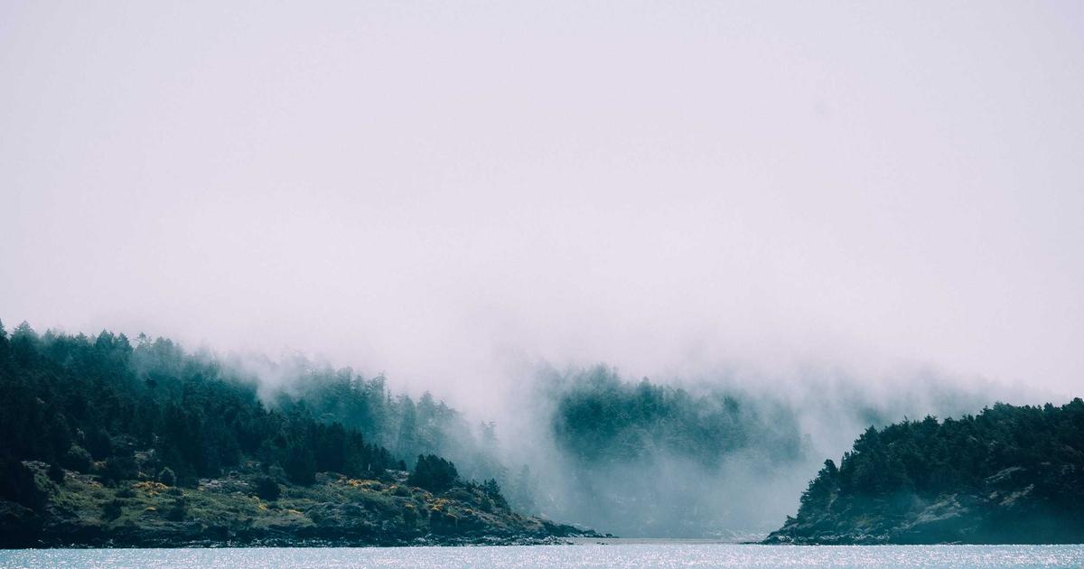 Flutter Engine Extensibility for Out-of-Tree Platforms