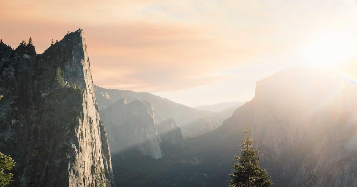 Flutter as Infrastructure in 2026: The One-Stack Bet