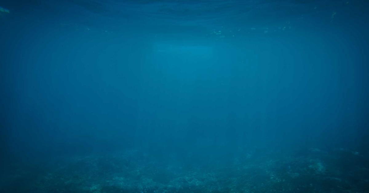 Mastering Nested Navigation in Flutter: Bottom Navigation, ShellRoutes, and Tab Preservation