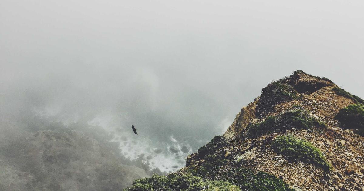 Flutter Widget Previewer: Now Stable in Flutter 3.47