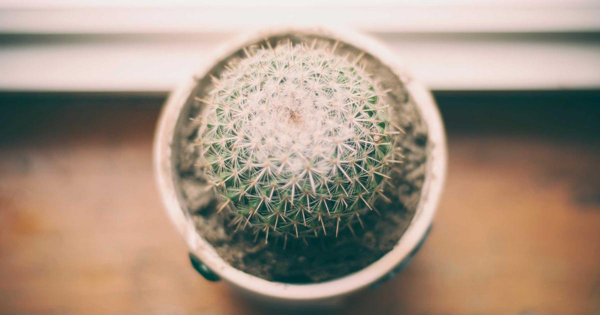 GenUI Prompt First: How Flutter's GenUI Now Builds UI From System Prompts