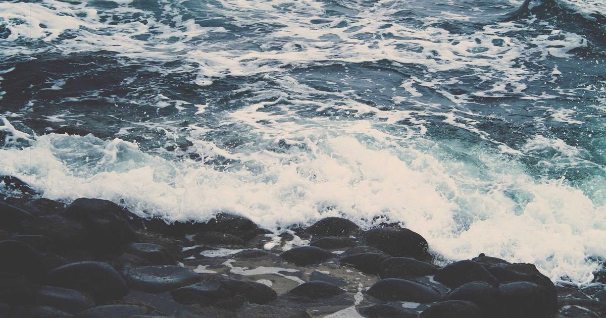 GenUI SurfaceController: Driving Dynamic UI from LLM Output in Flutter