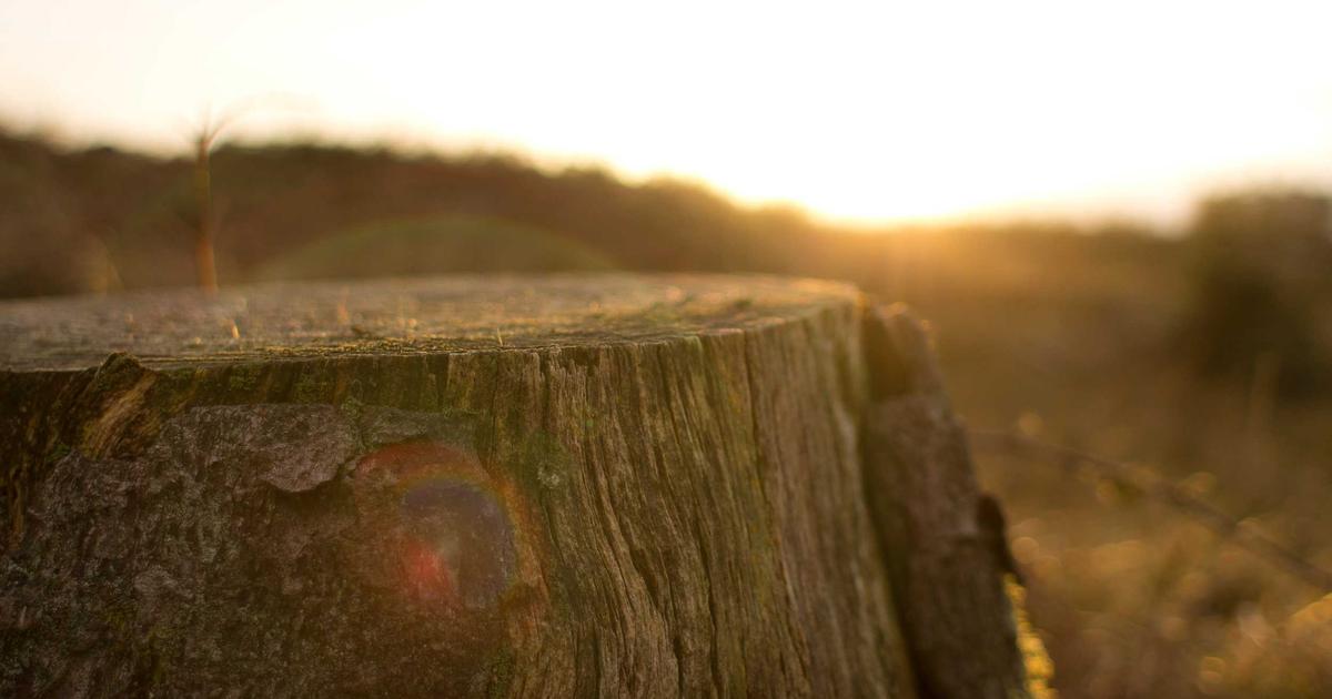Linux Namespaces: The Isolation Primitive Behind Containers