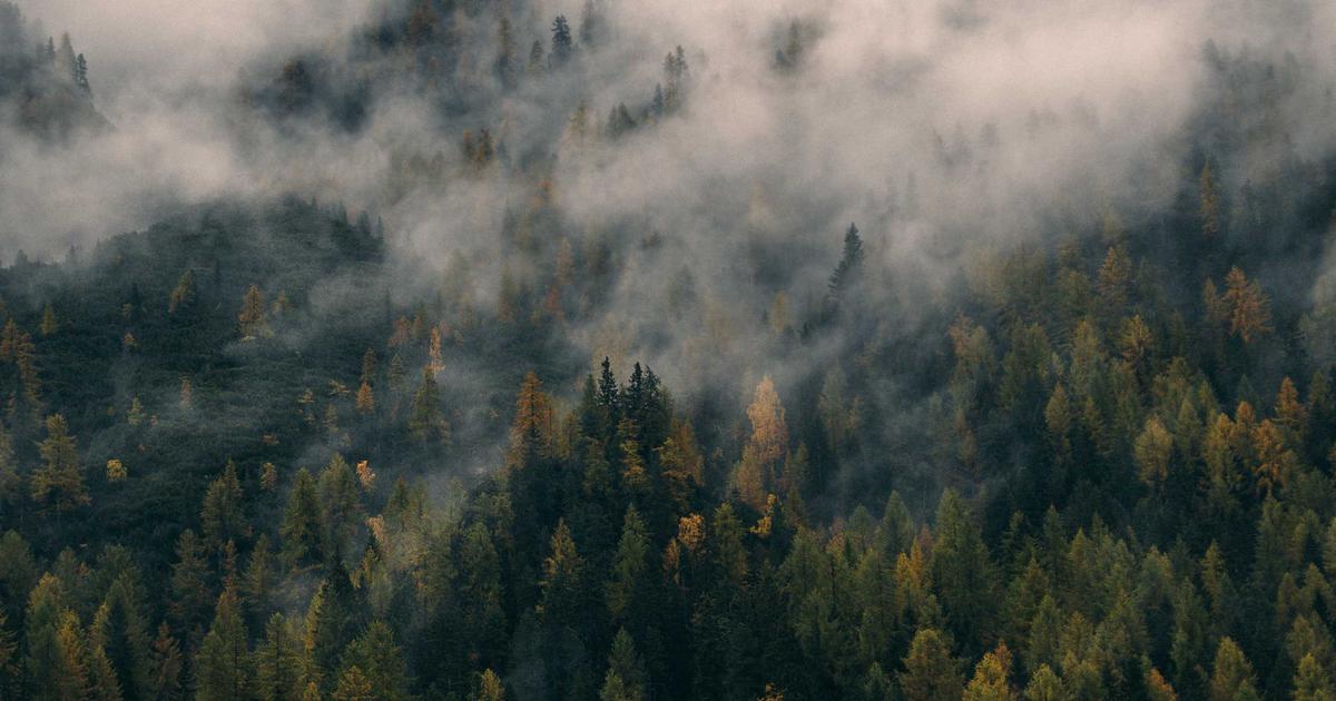 Mastering Design Tokens in Astryx: Color, Typography, Spacing, and More