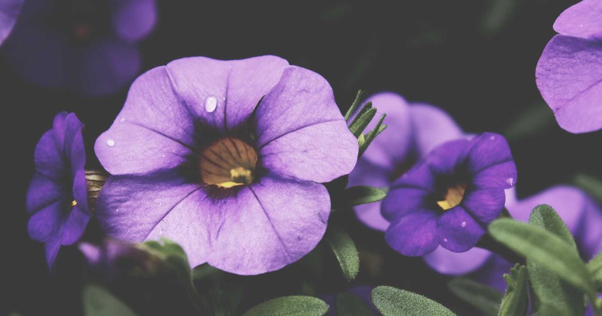 ORMs in 2026: Prisma, Drizzle, and Raw SQL