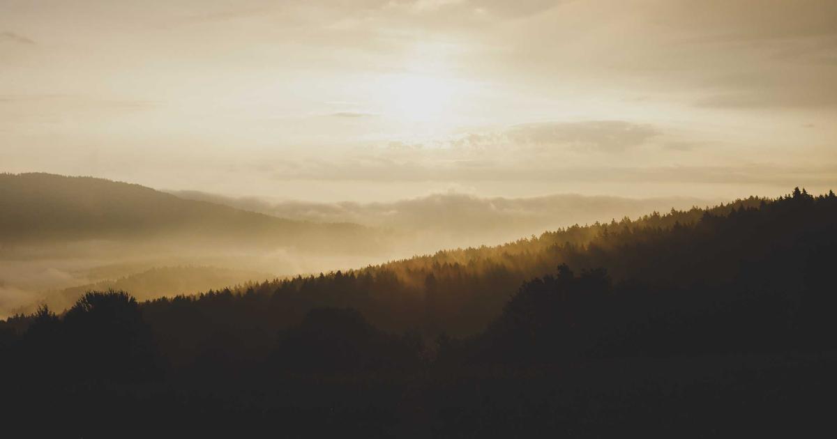 Testing Your Frontend: Vitest, Playwright, and Visual Regressions